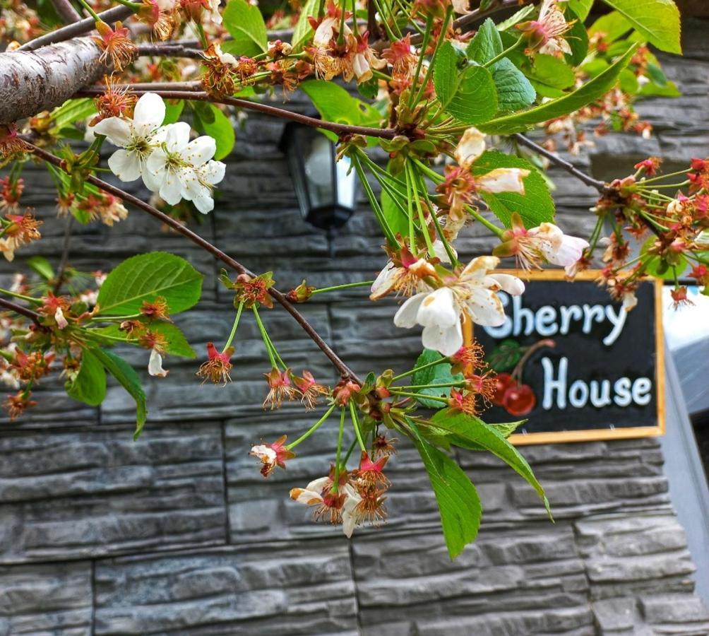 Cherry House Kazbegi Kültér fotó