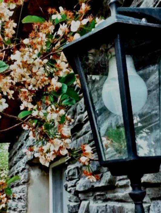 Cherry House Kazbegi Kültér fotó